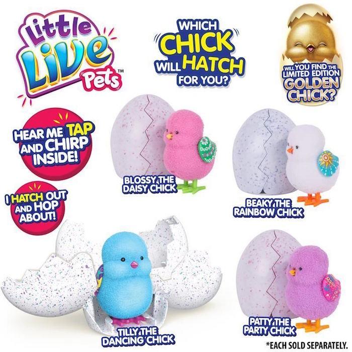 Little Live Pets Hatching Chick Review 