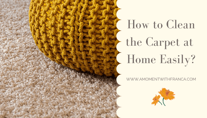 How to Clean the Carpet at Home Easily? • A Moment With Franca